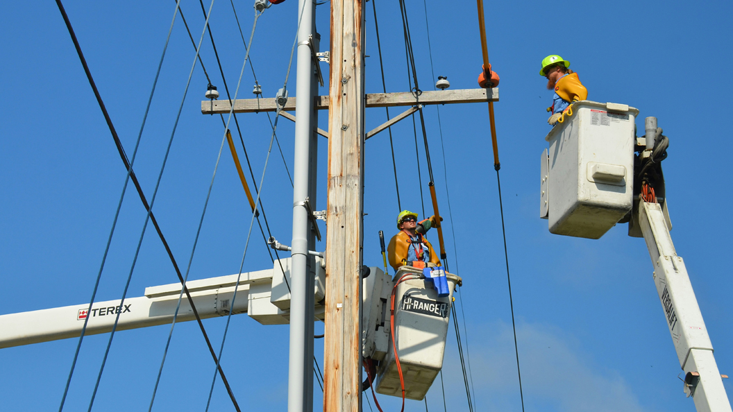 repair power lines